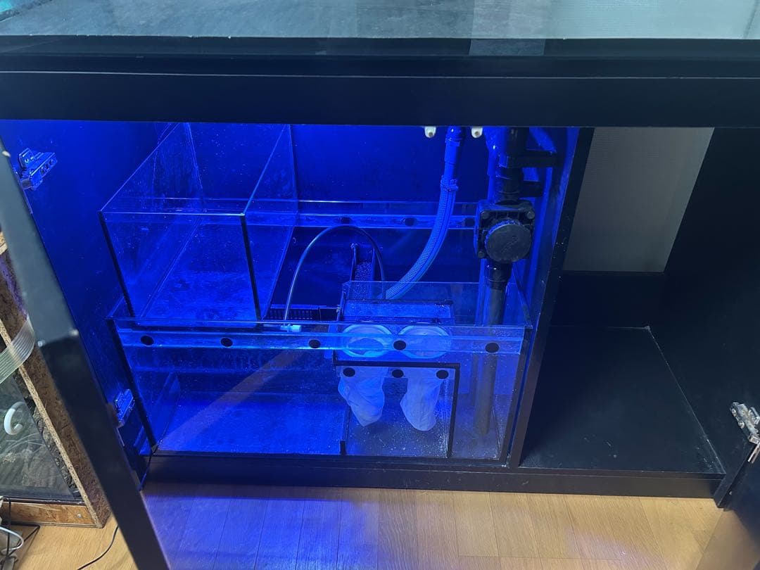 水槽 Red Sea REEFER 350