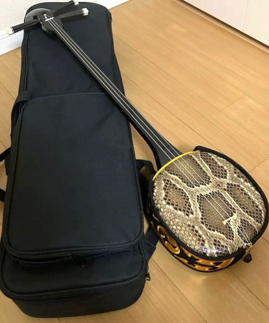 沖縄三線　蛇本革　ケース付き