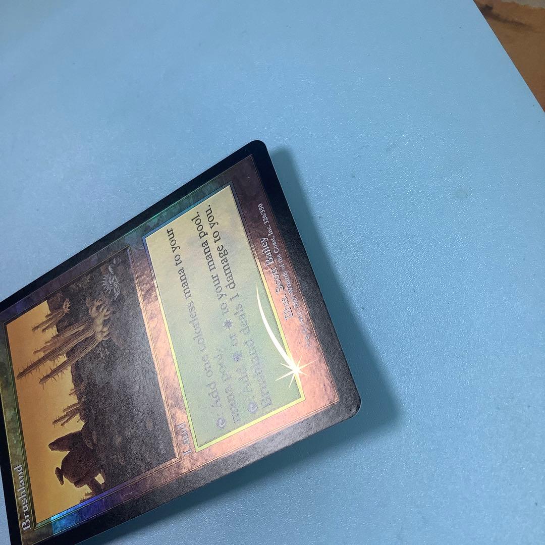 低木林地/Brushland  7ED英語foil