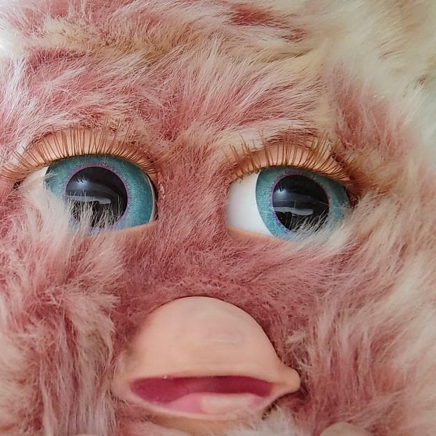 ファービー2　クランベリークッキー　英語版　furby furby2 #12