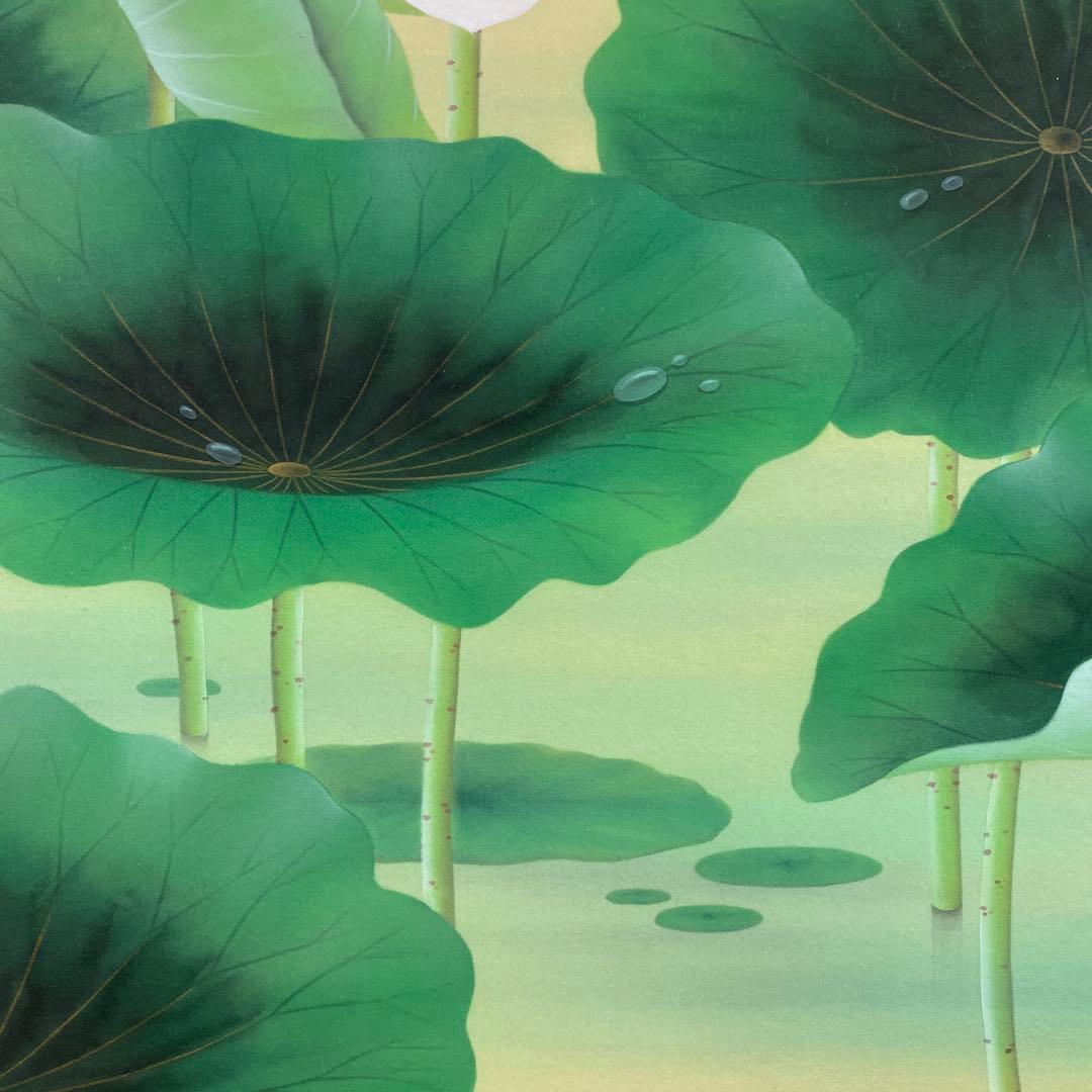 美品 掛け軸 藤田遥穂作 聖蓮華図 共箱 太巻き付 二重箱