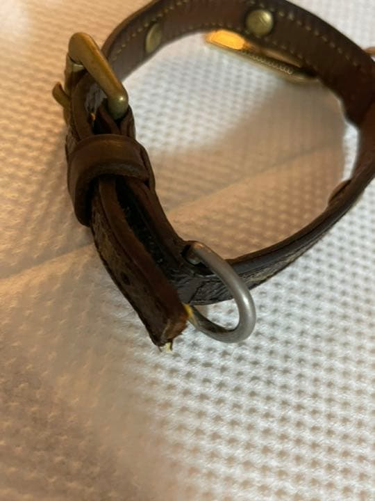 ルイヴィトン 首輪