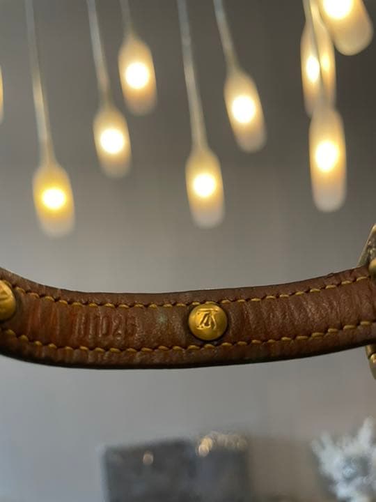 ルイヴィトン 首輪