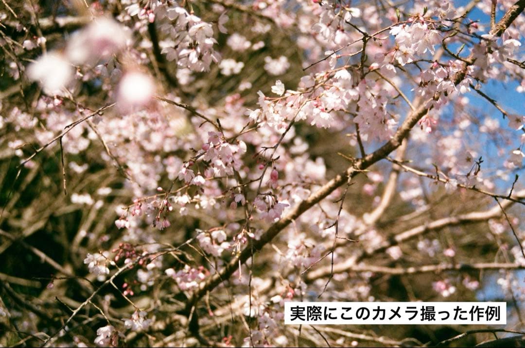 nikon FM10 マニュアル一眼レフ　フィルムカメラ　オマケ付きセット