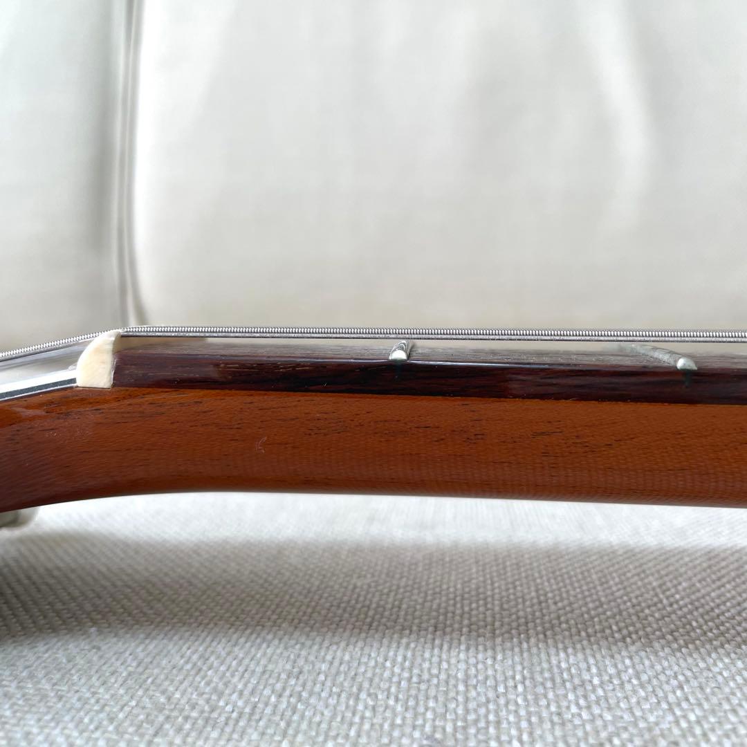 TUNE チューン TGX 12弦 エレキギター　レスポールタイプ