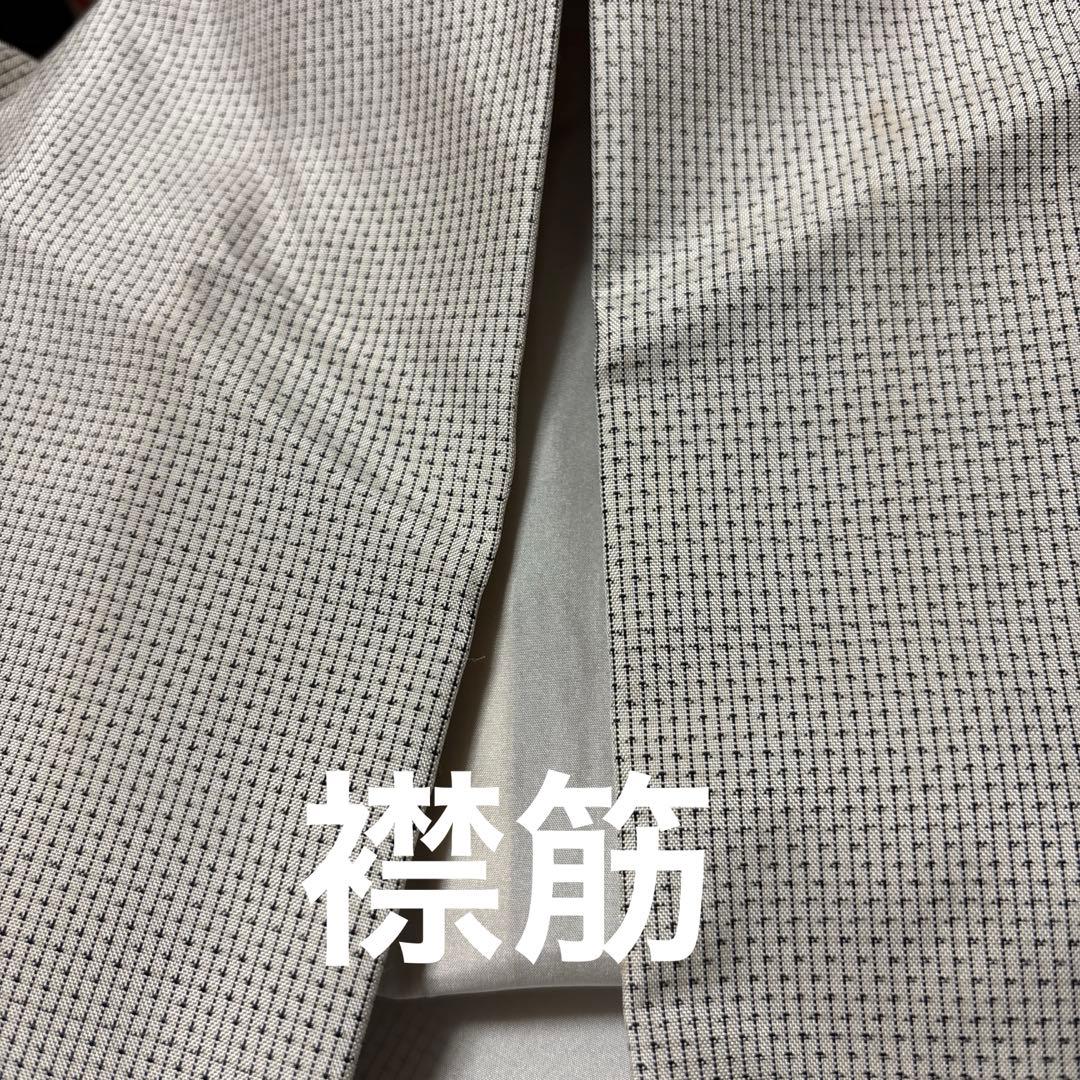 先染め　白大島　カタス式 染め柄付下げ　フェミニン♪ きもののやまと謹製