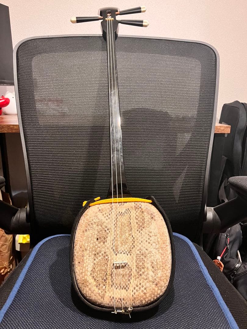三線（蛇皮＋人工皮）、ケース付き