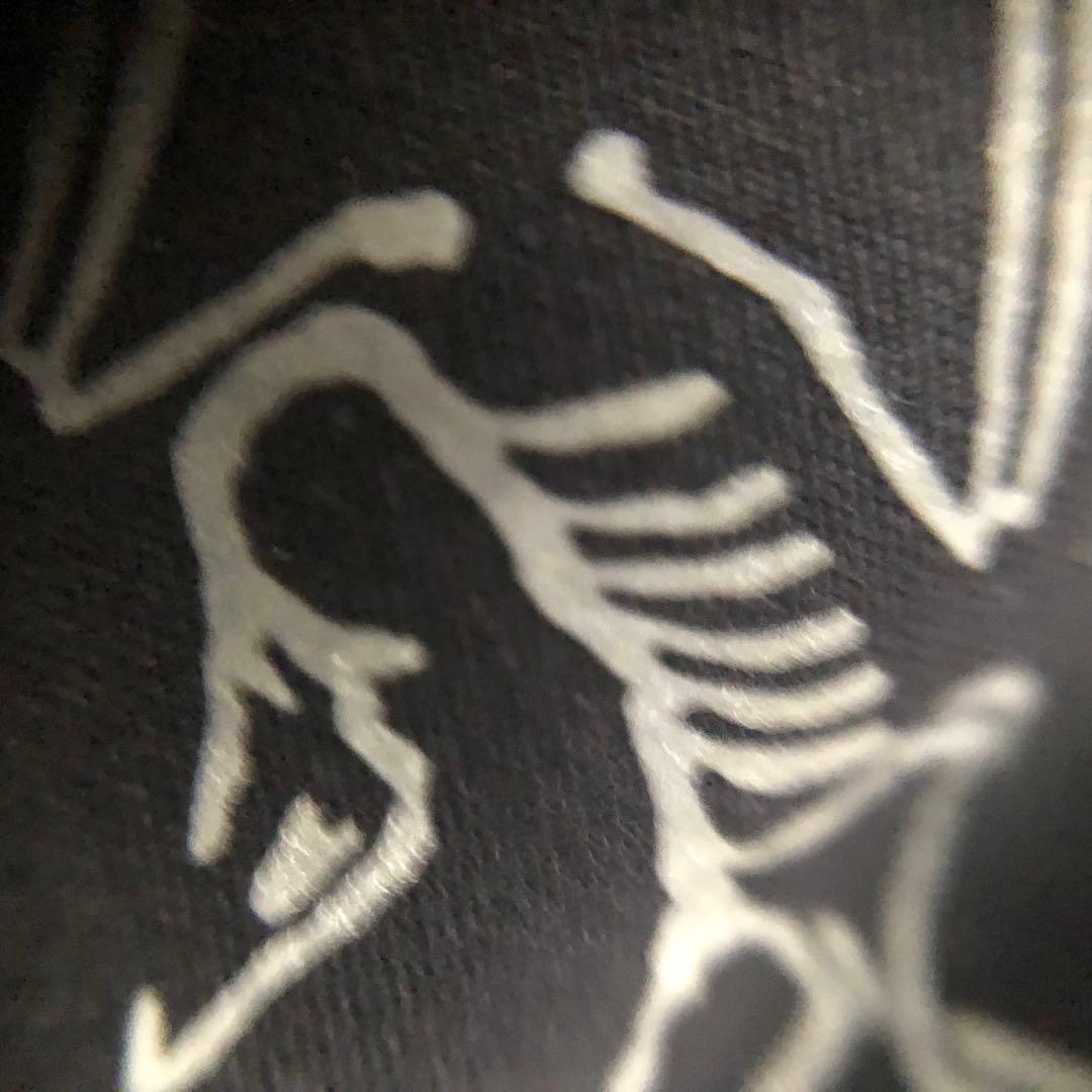 小物 ARC'TERYX Alpha SL Glove M/M