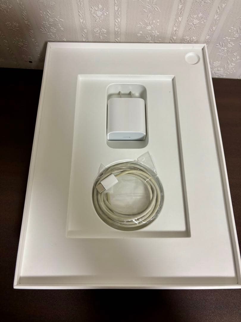 iPad Pro 11インチ 第1世代 64GB セルラーモデル