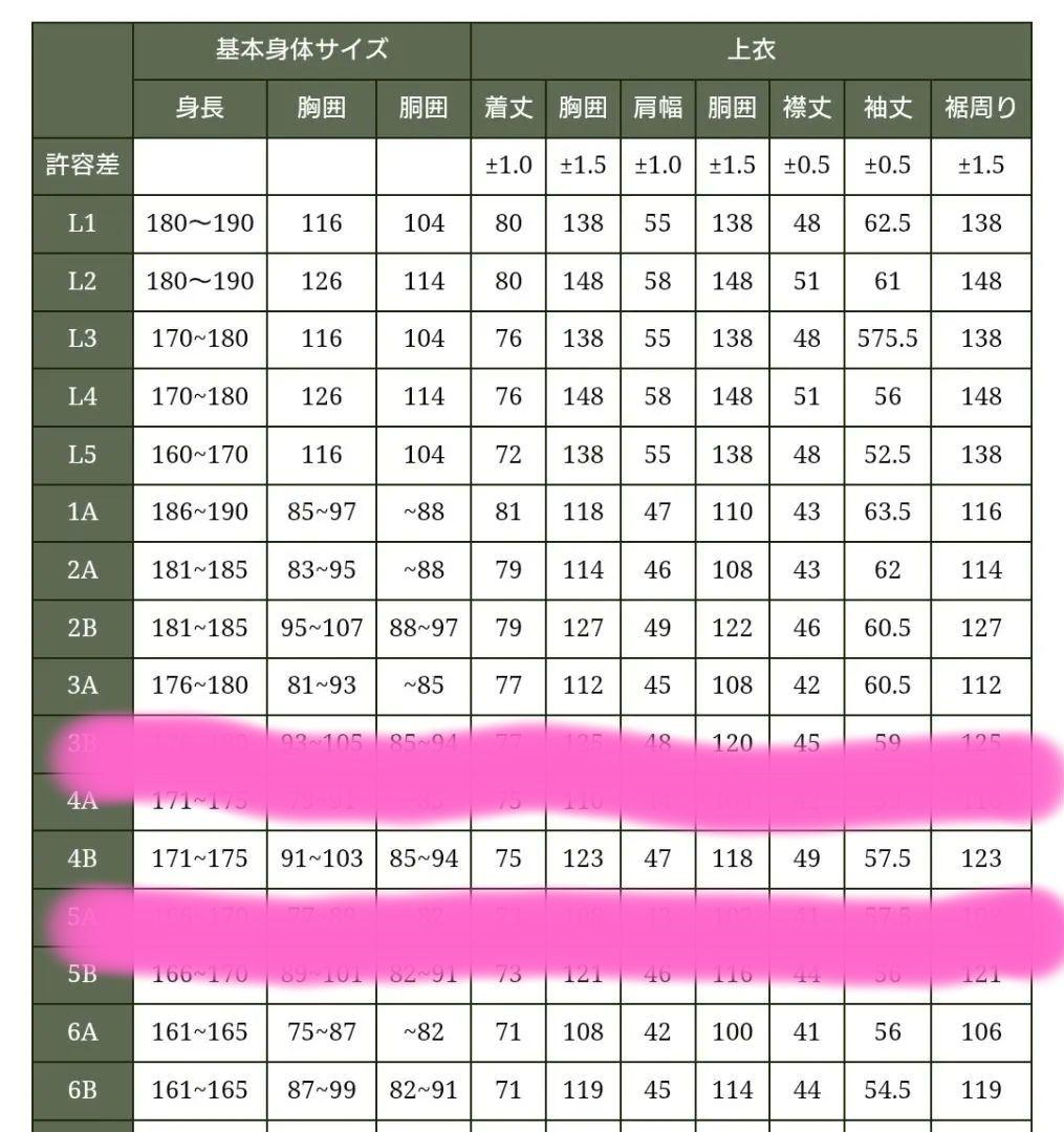 陸自迷彩服（迷彩パターン）4B型サイズ戦闘服（ホンモノ志向向け）