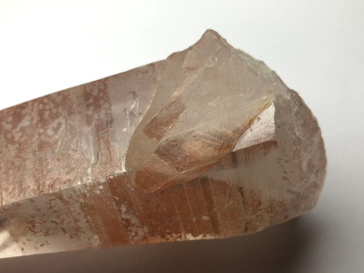 ピンクレムリアンシード　vol.307