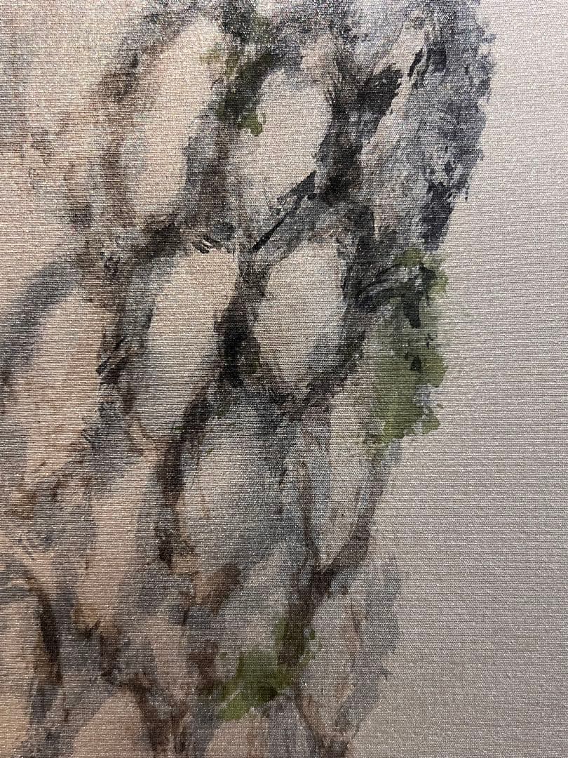 国井幸雪『老松鶴』 肉筆 共箱 縁起物 日本画 掛け軸 掛軸 柳甫 正月 直筆