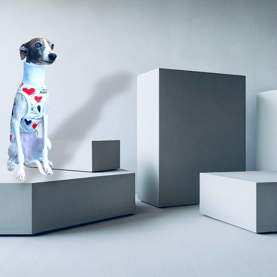 ⑰jours heureux original heart