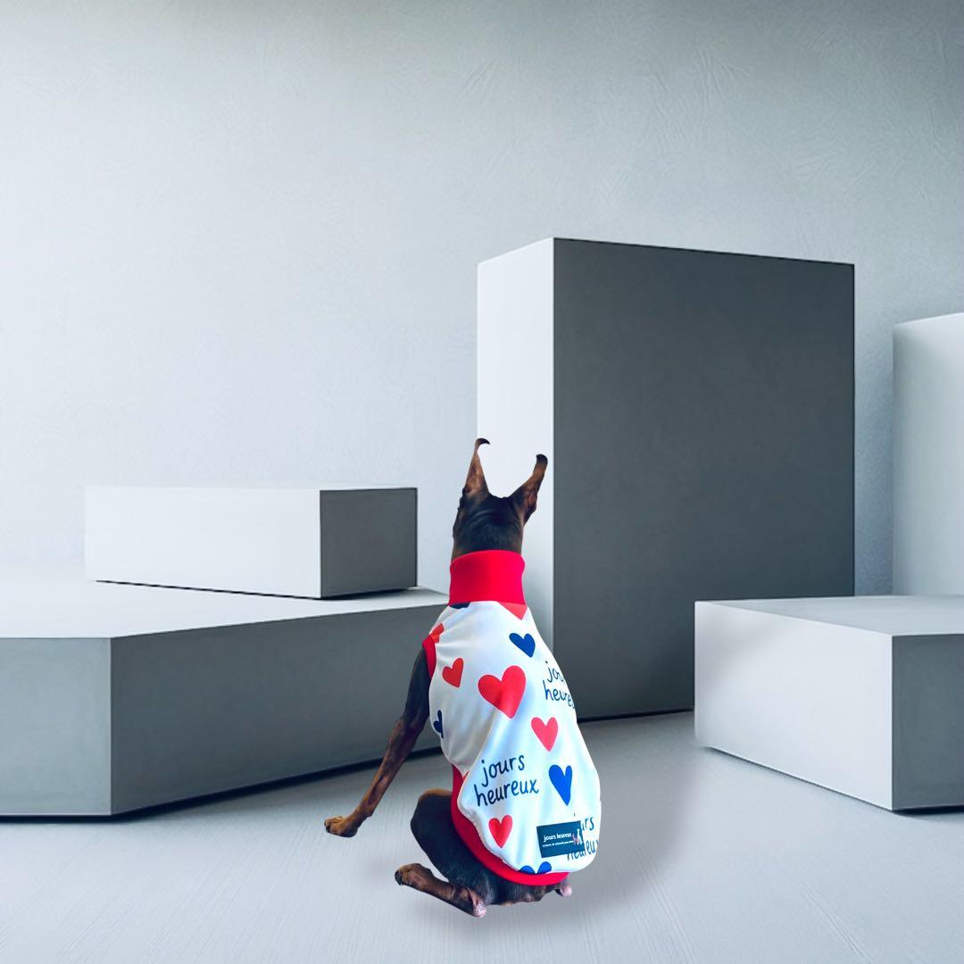 ⑰jours heureux original heart