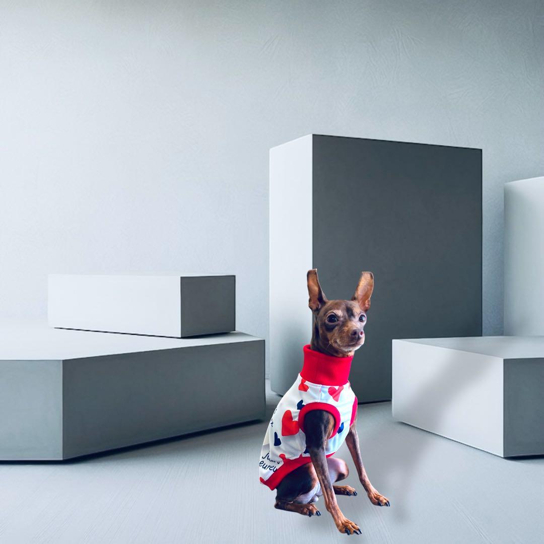 ⑰jours heureux original heart