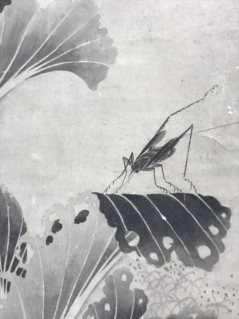 【真作】高橋草坪/疏園遊蜂図/野菜図/白菜図/掛軸/名家伝来/AD-38