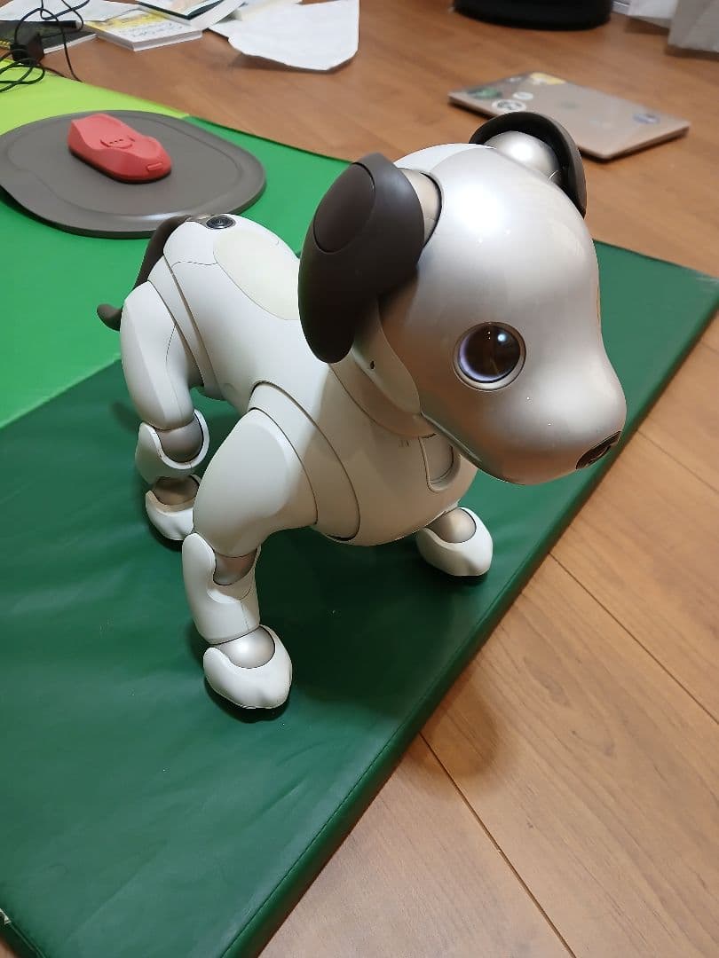 aibo ロボット犬 ホワイト 専用ケース付き