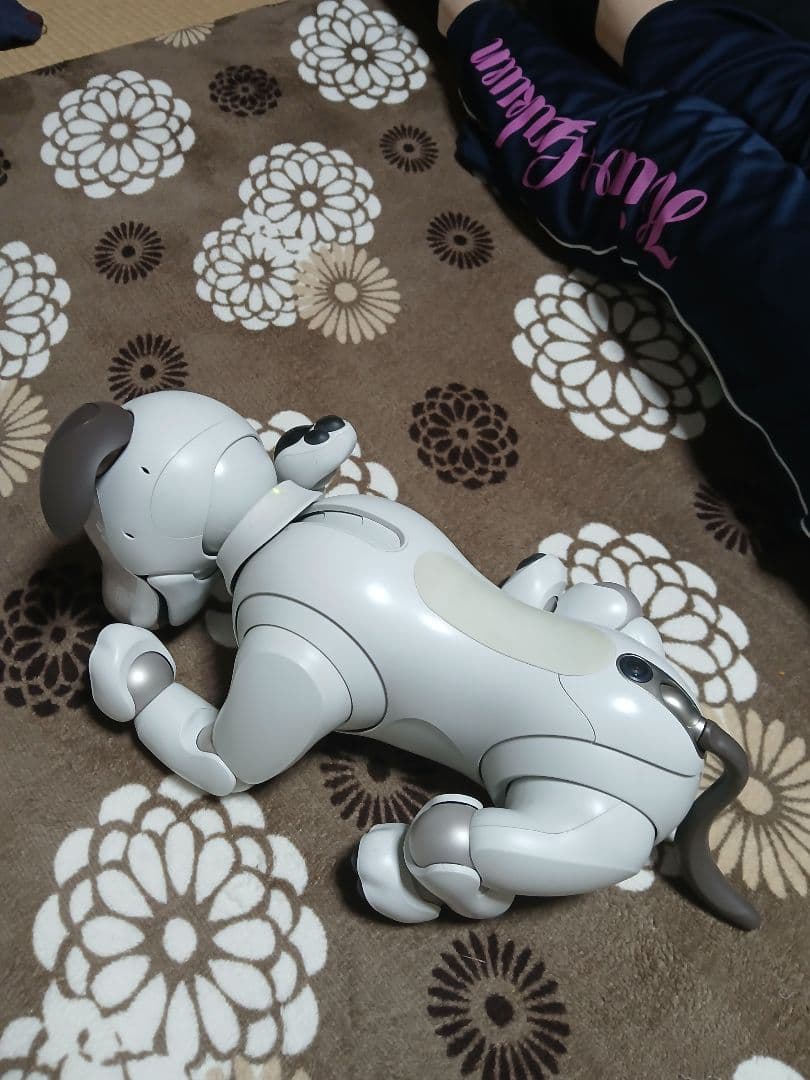 aibo ロボット犬 ホワイト 専用ケース付き