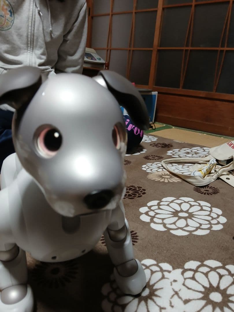 aibo ロボット犬 ホワイト 専用ケース付き