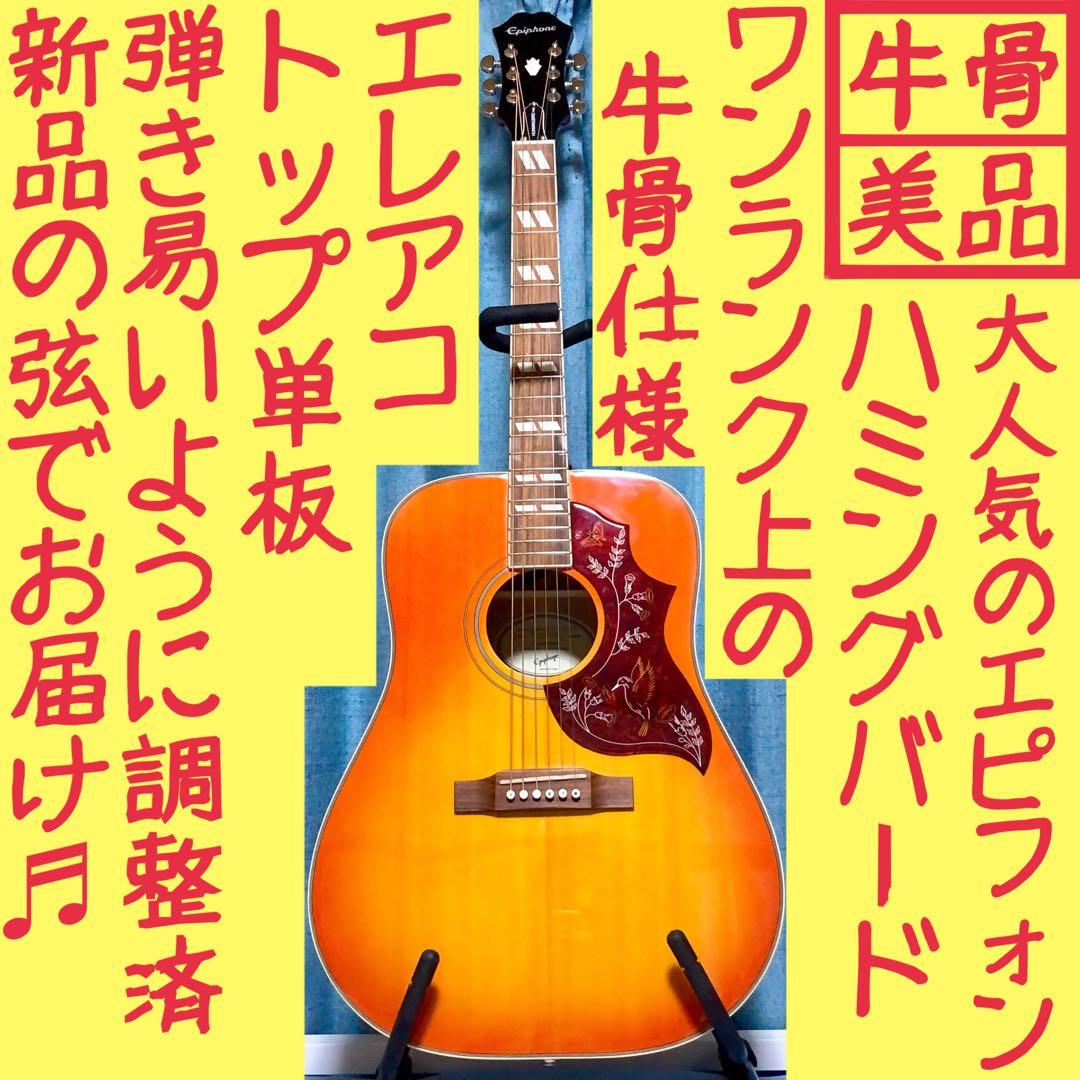 【牛骨☆エレアコ】Epiphone☆ハミングバード！【弾き易く調整☆新品の弦】
