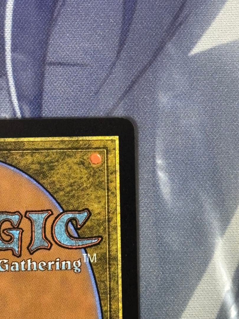 MTG 魔導の力を持つ少女、ティナ 日本語版 ボーダーレス サージ foil