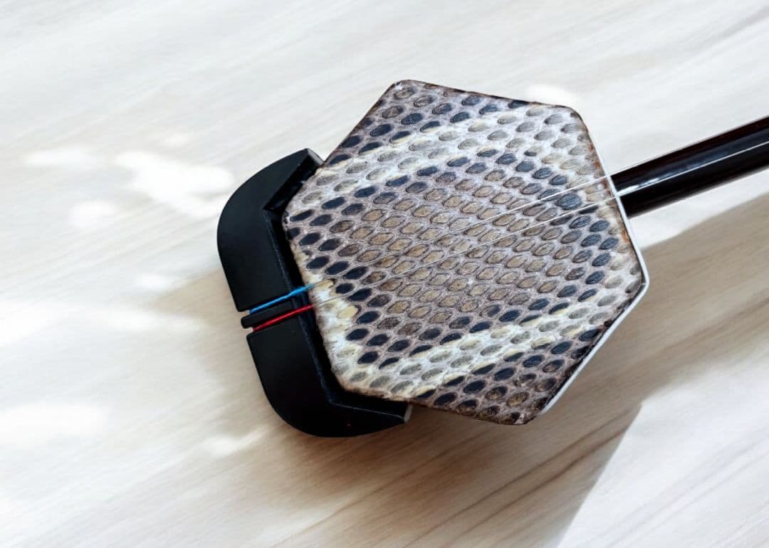 二胡　伝統楽器