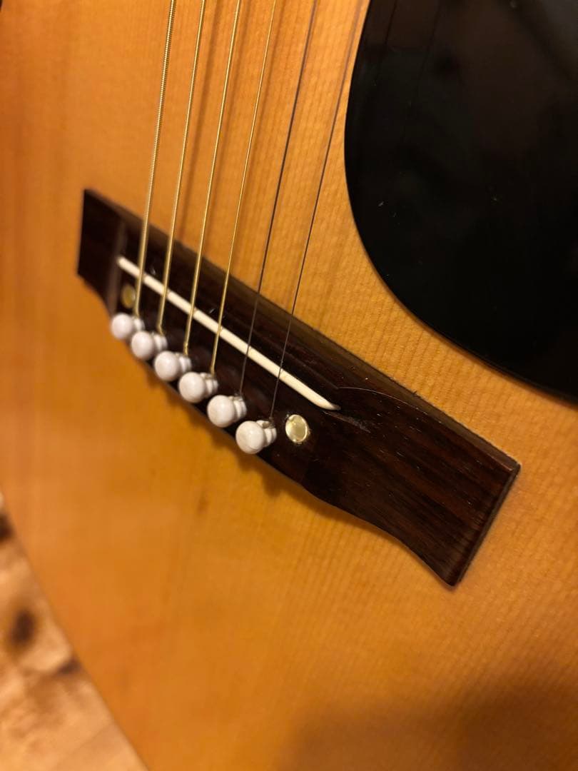 【本日限定/希少】70s HARRY DANIEL ゼロフレット アコギ JV