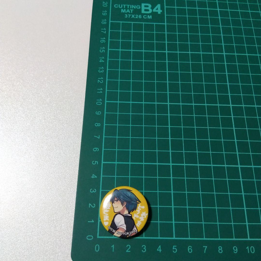 【月刊少女野崎くん】鹿島遊 少女ロマンスWEB限定 懸賞 特製 缶バッジ