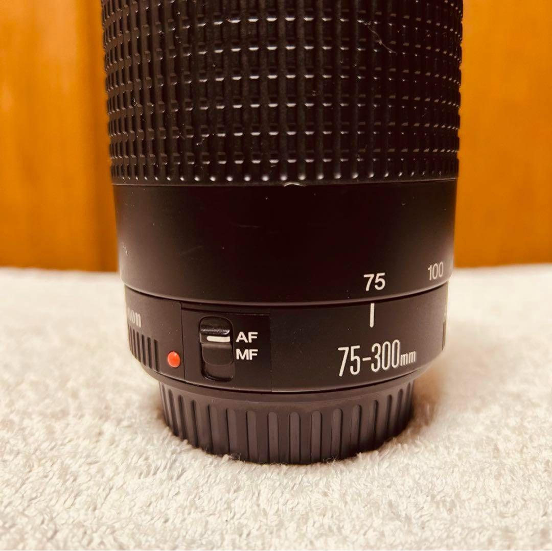望遠レンズ Canon EF 75-300mm F 4-5.6 Ⅲ USM