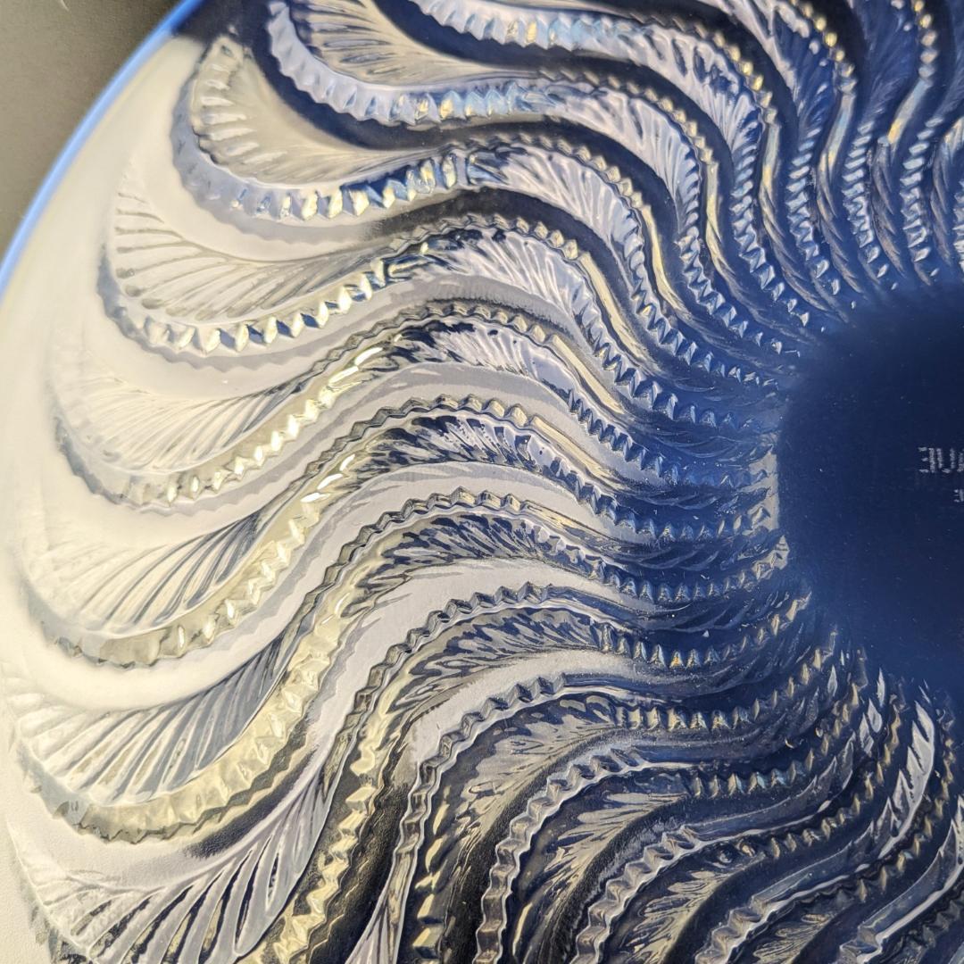 ルネ ラリック オパルセント皿 アクティニア イソギンチャク 1933年頃作品