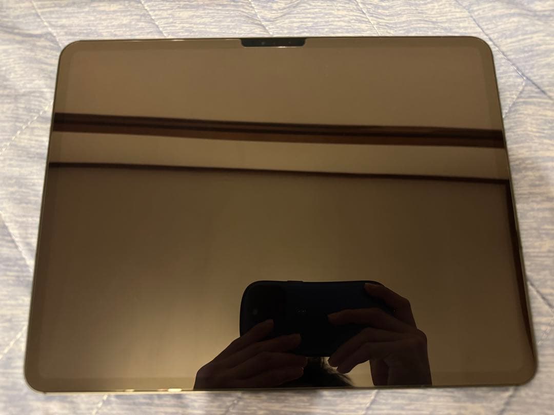 iPad Pro (M4)1TB セルラー 13インチ アップルケア譲渡可能