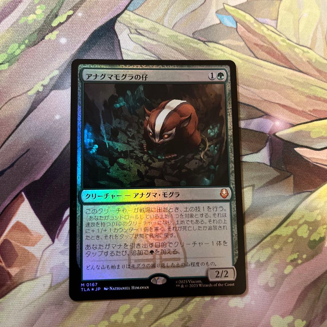 d5143 MTG アナグマモグラの仔