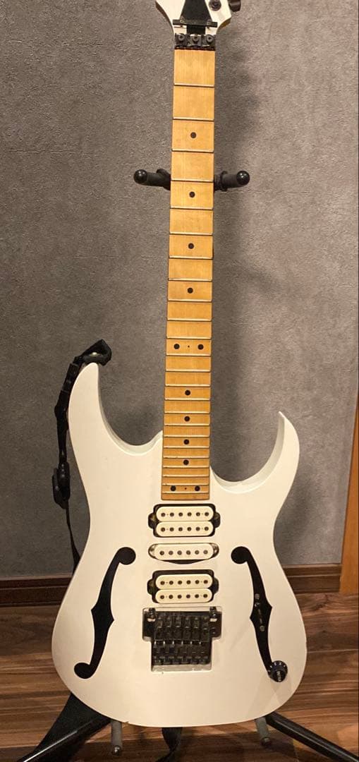 Ibanez PGM300 WH ポールギルバートモデル