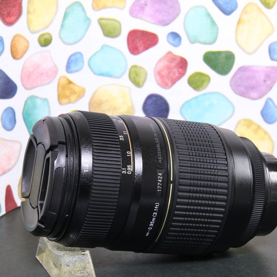 ♥︎◇遠く撮るならこのレンズ♪ TAMRON 70-300mm PENTAX