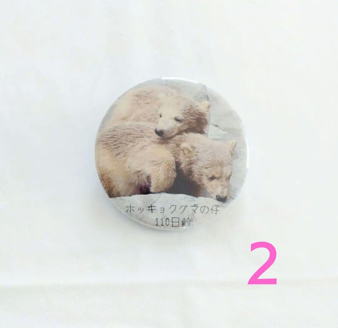 うちの猫です☺️