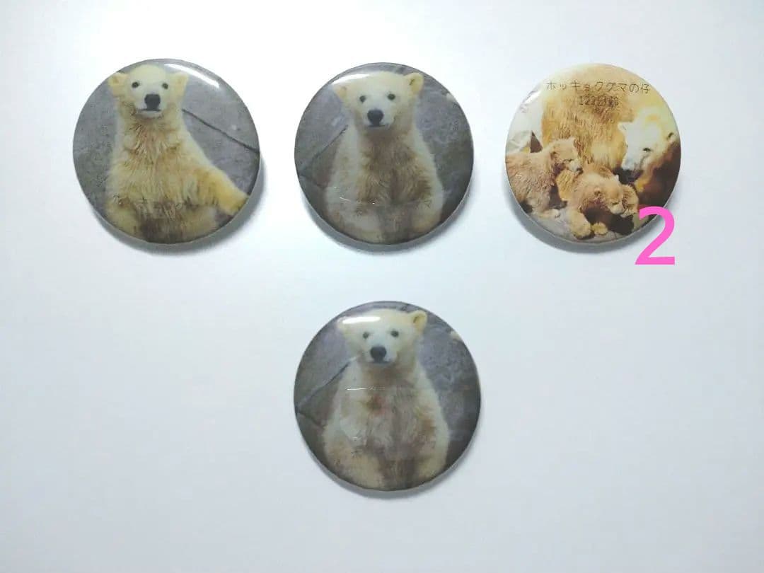 うちの猫です☺️