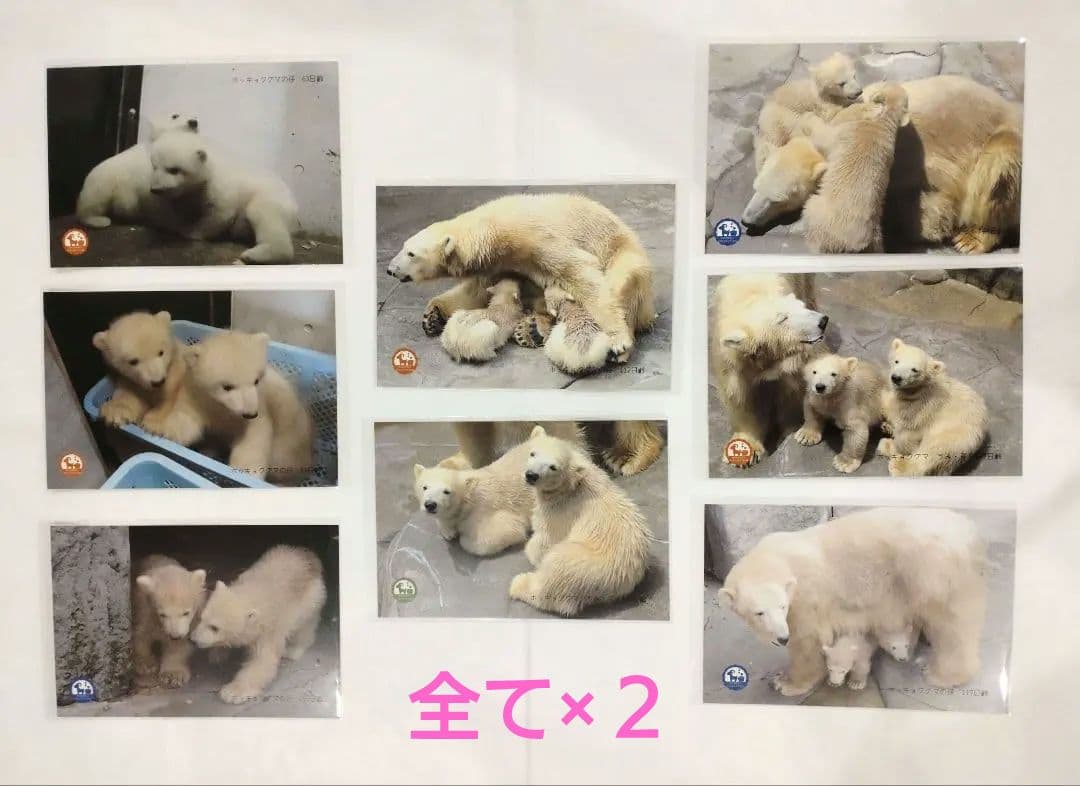 うちの猫です☺️