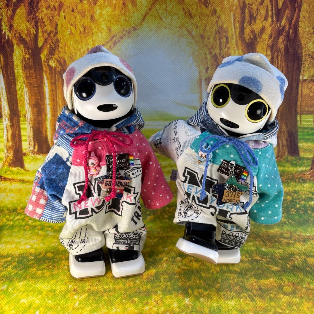 hasnページです ロボホン