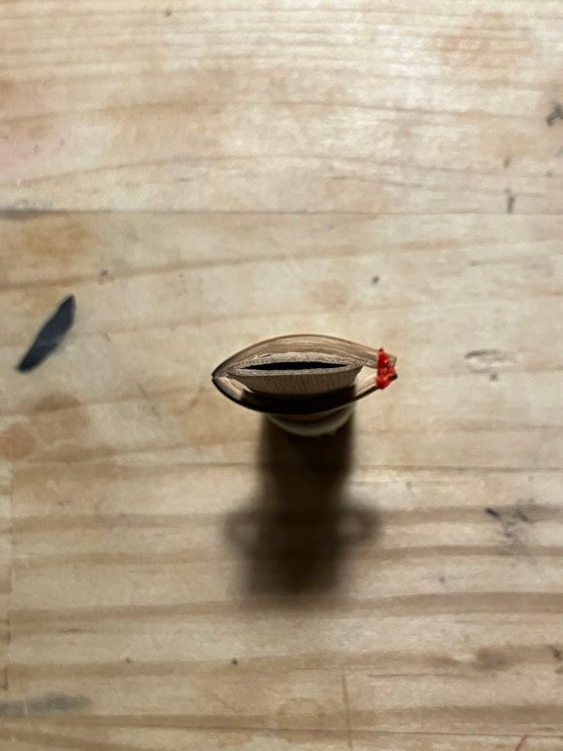 篳篥リード（盧舌）