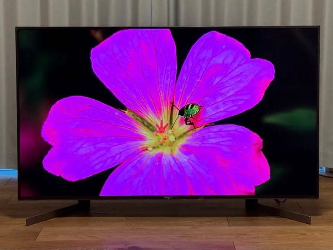 【SONY】KJ-49X9500G【美品】