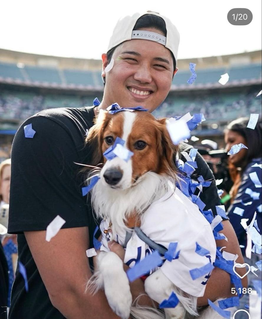 boo'oh 犬用 ハーネス Ray Harness デコピン　大谷