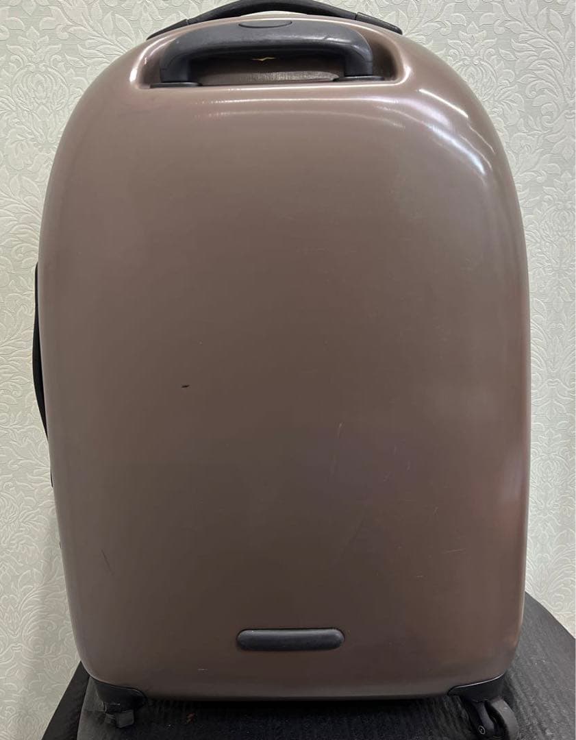 FPMスーツケースGray Spinner 67 Trolley Bag