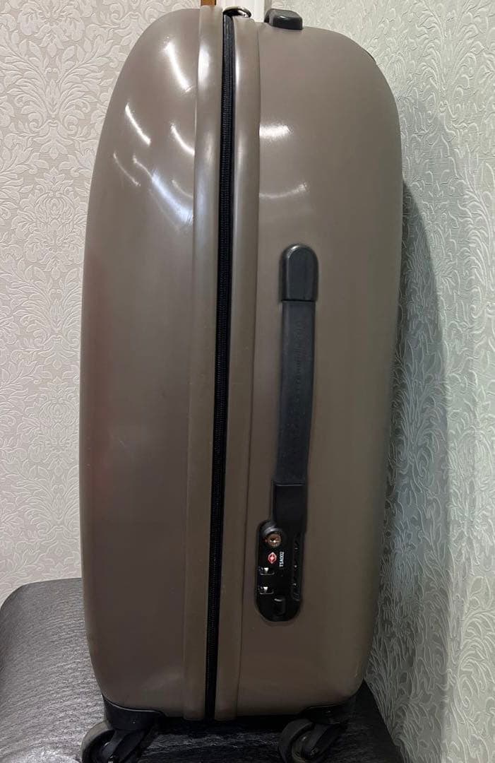 FPMスーツケースGray Spinner 67 Trolley Bag