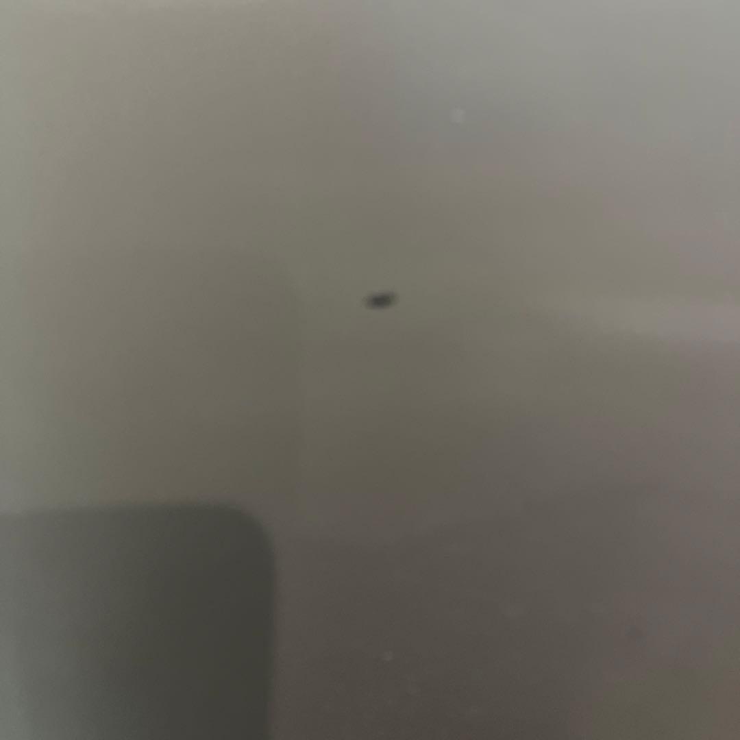 FPMスーツケースGray Spinner 67 Trolley Bag