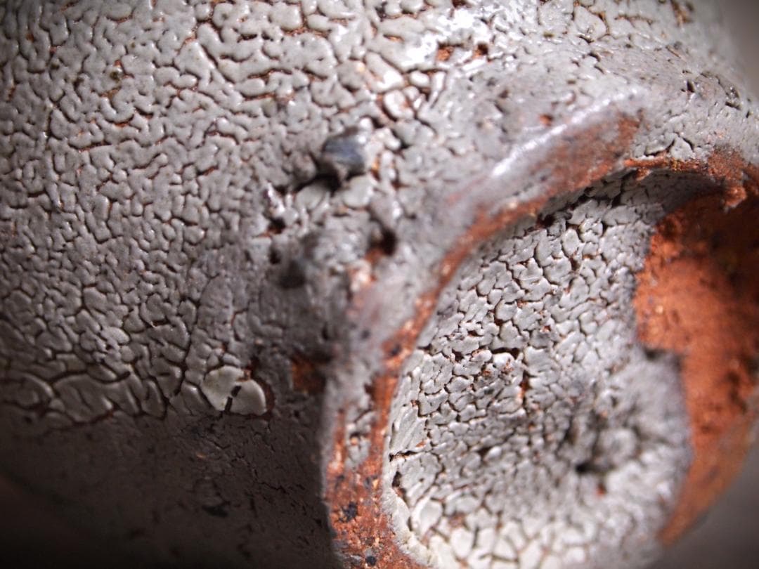 希少作★中川自然坊★絵唐津【窯変】焼酎杯★☆共箱・栞