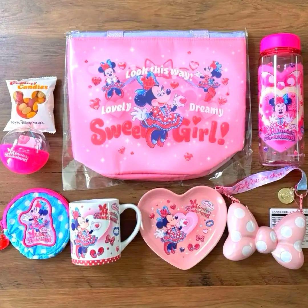 ミニー　パルパルーザ　ファンダーランド　スーベニア　ランチケース　ミニパル　6点