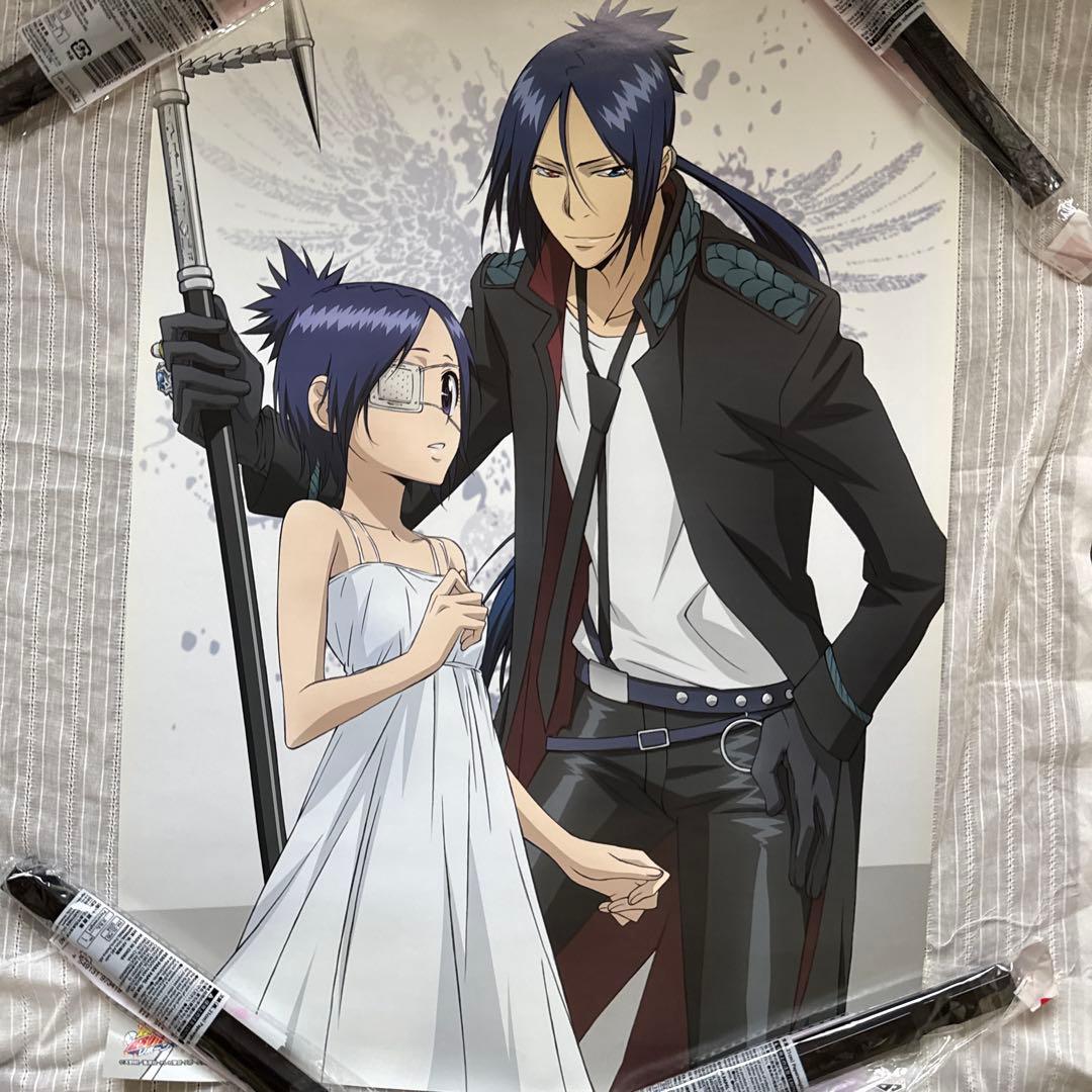 希少 家庭教師ヒットマンREBORN ポスターコレクション ポスガチャ10枚