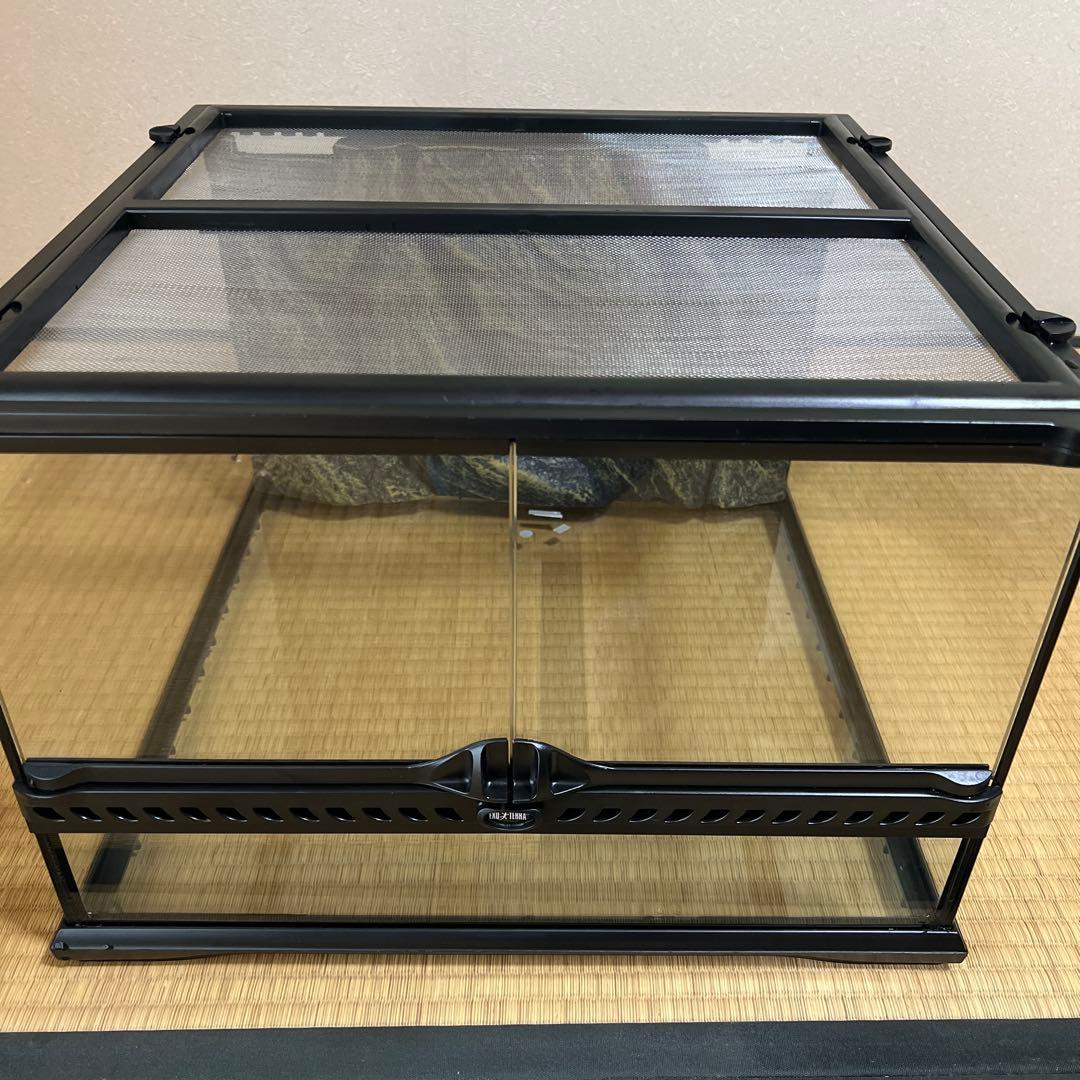 グラステラリウム セット