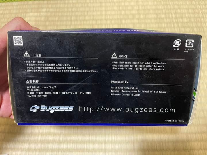 2010 SUPER GT GT300 EVAコラボ