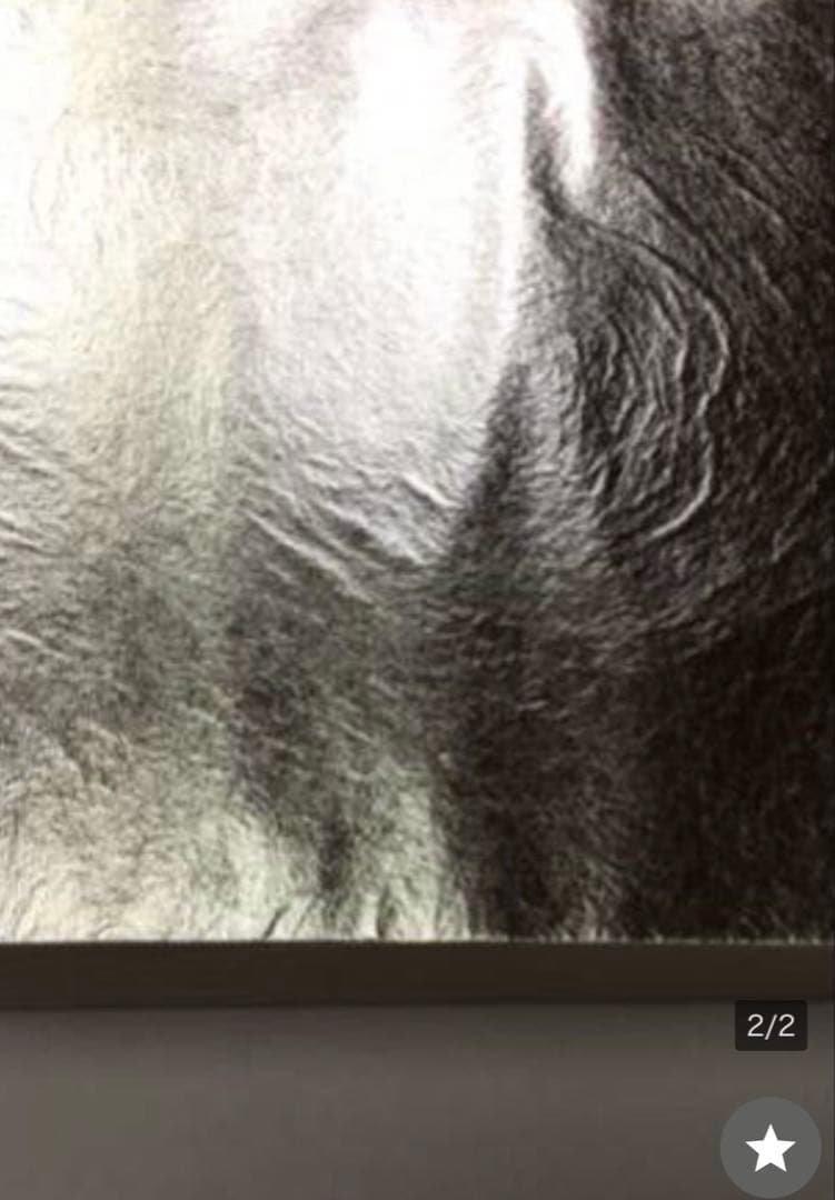 純銀箔200枚と洋金箔100枚